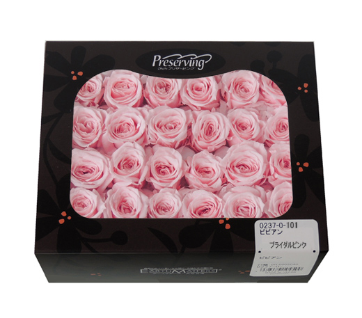 大地農園・ビビアン・クリスタルピンク24輪・アウトレット