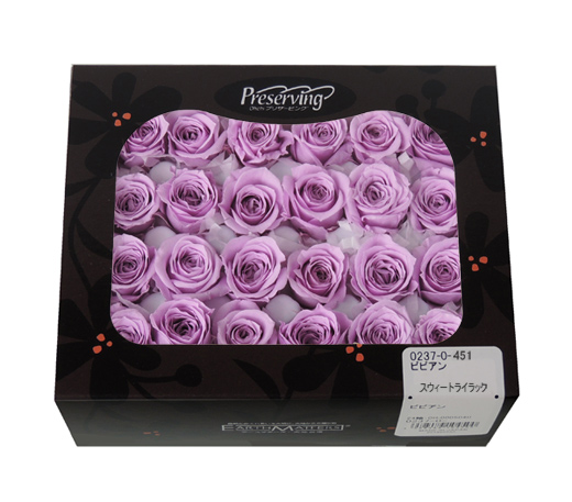 大地農園・ビビアン・クリスタルピンク24輪・アウトレット