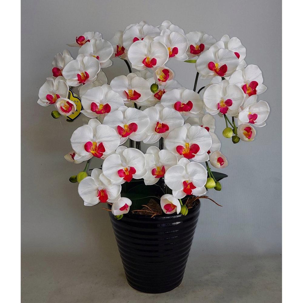 造花 胡蝶蘭 5本立ち 白赤 の通販 | ホームセンター コメリドットコム