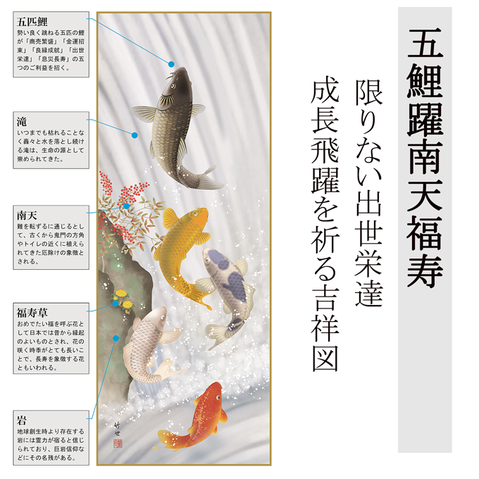 五鯉躍南天福寿 田村竹世 （三美会） 尺五 【特価 】 日本製 節句掛け