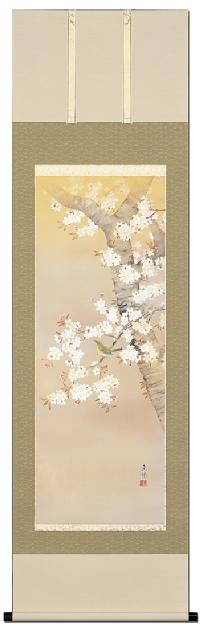 河村東陽 桜に小禽 尺五立 （春）！ 春 - 掛け軸（掛軸）販売通販なら