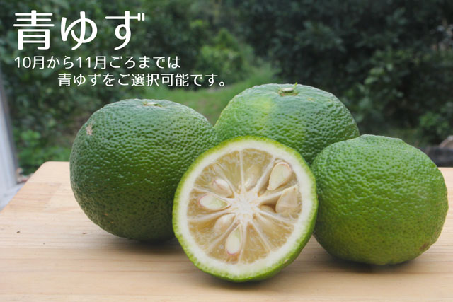 柚子（ゆず、ユズ） 柚子を直送 観音山フルーツガーデン