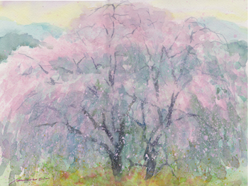 くまがやねっと 特集 熊谷人物伝