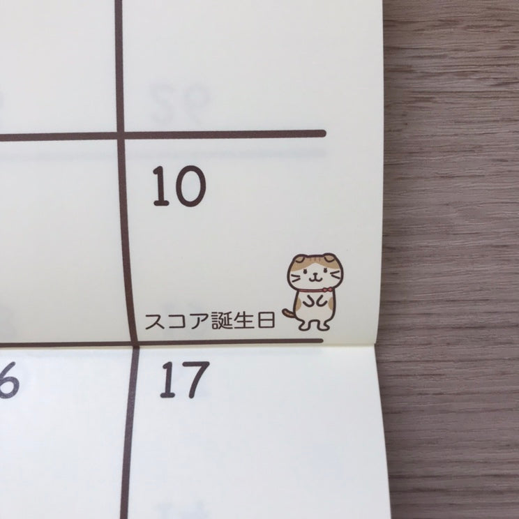 ふくふくにゃんこ 2026年壁掛けカレンダー – HAPiNS online shop