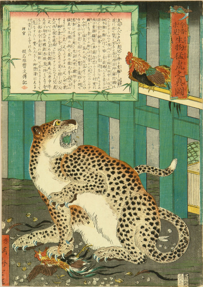 暁斎 今昔未見生物猛虎之真図 | 浮世絵 | 原書房 神田神保町