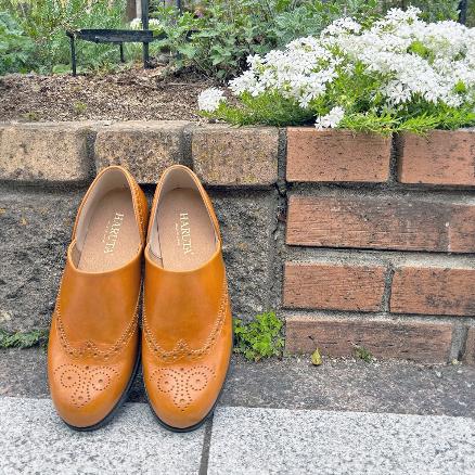 ウィングチップスポックシューズ #503（01005030）|women（レディース