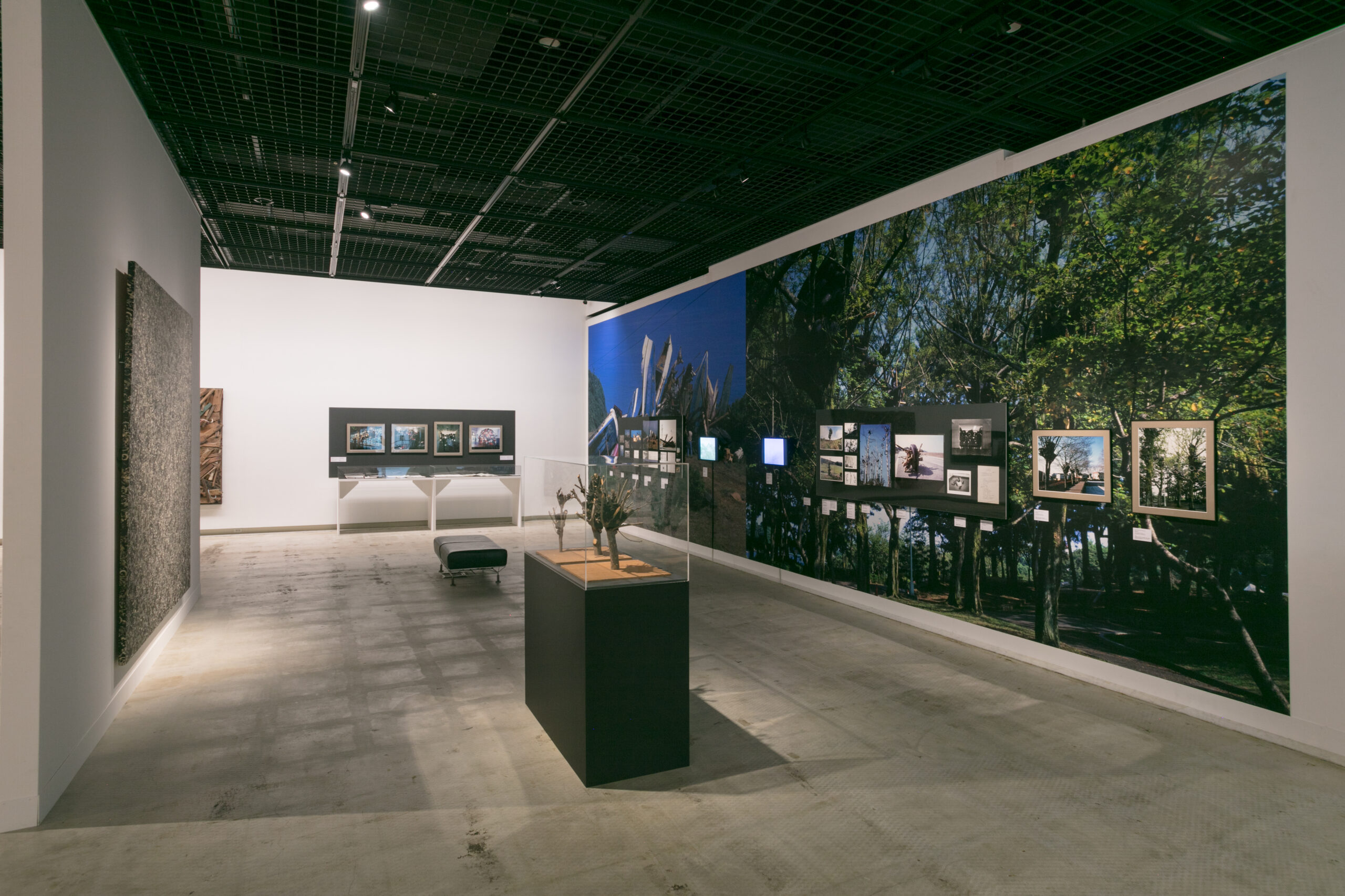殿敷侃：逆流の生まれるところ｜展覧会｜広島市現代美術館 | Hiroshima