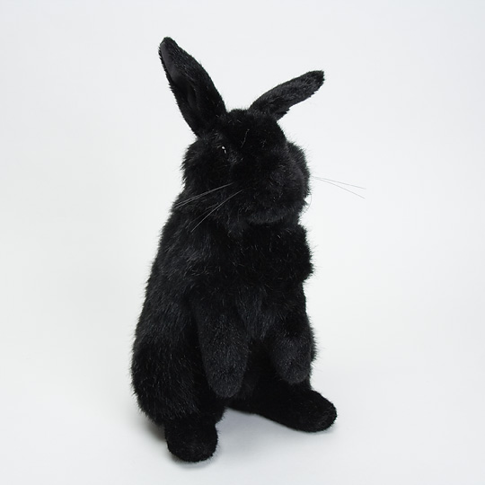 3591 くろいうさぎ：おもちゃ：百町森