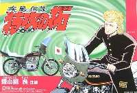 疾風伝説 特攻の拓 アオシマ文化教材社