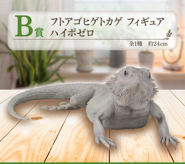 リアルで可愛い「一番くじ 爬虫類＆両生類」第2弾！ラストワン賞は