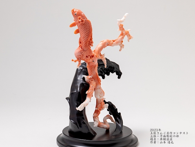 Coral by Gallery IAM