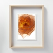 定番品】パブロ・ピカソ 「ブーケ」｜ポスター｜IDEE SHOP Online