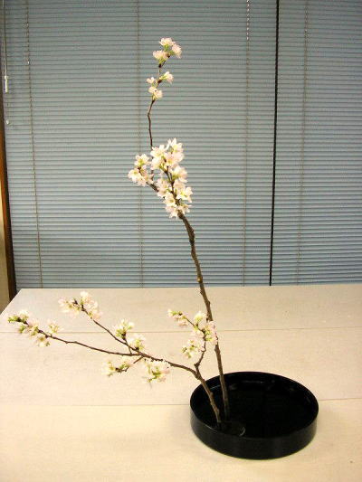 長谷川春生いけばな茶道教室ホームページ 群馬県前橋市 草月流