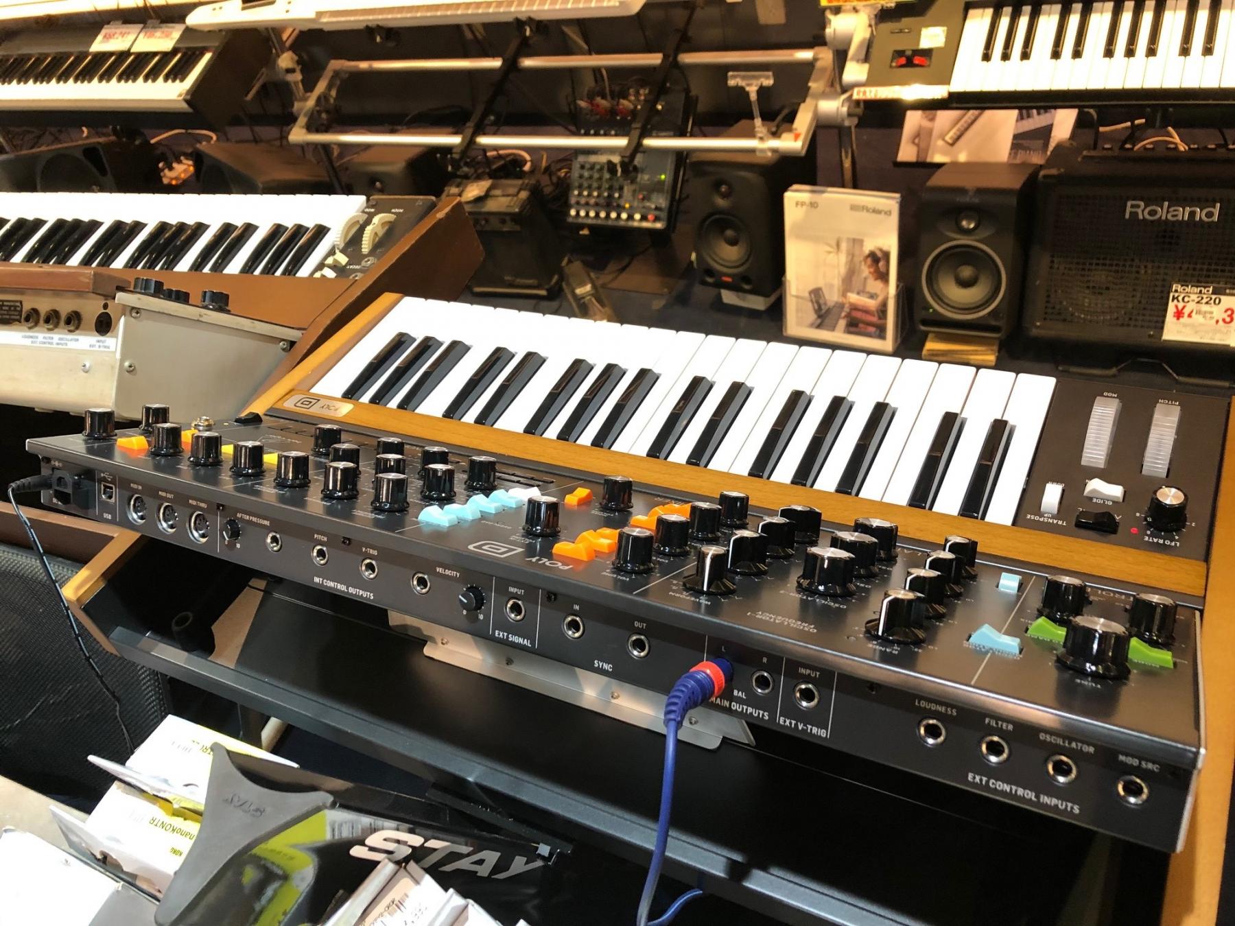 Behringer Poly Dが発表！ | イシバシ楽器スタッフブログ