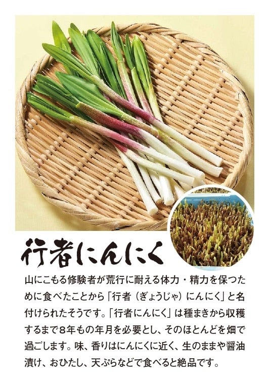 やまがた山菜セット「～ひと足早い春の味覚～」化粧箱 6パック入り