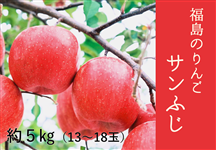 福島のりんご(サンふじ)約5kg 特秀・秀 13～18玉（11月下旬～順次