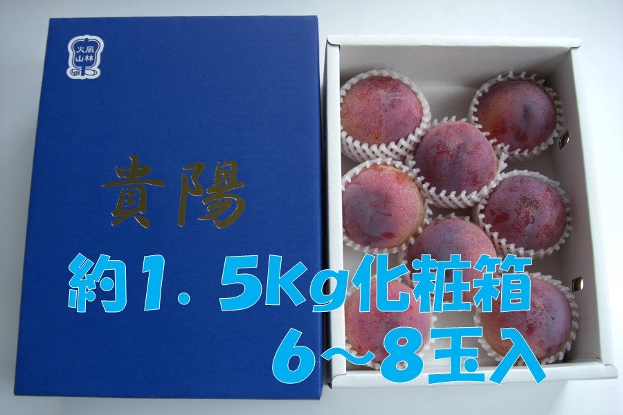 JAふえふき】 すもも（貴陽） 約1.5㎏ 7月中旬にお届け予定: フルーツ