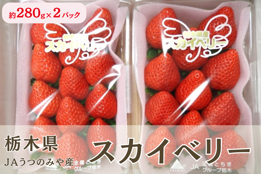 苺 スカイベリー (約280g×2パック/1箱） 栃木県JAうつのみや産: とちぎ