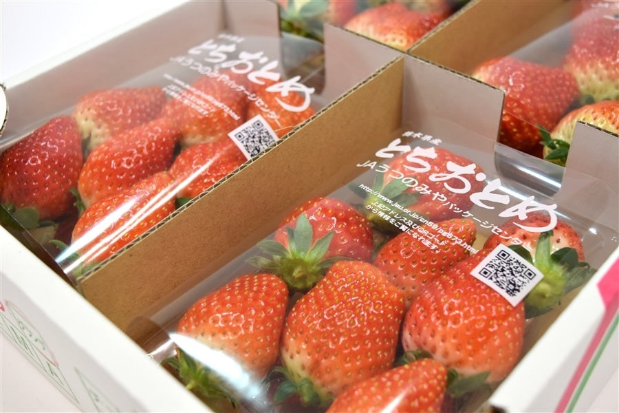 苺 とちおとめ （260g×4パック×2箱） 栃木県 JAうつのみや産: とちぎ