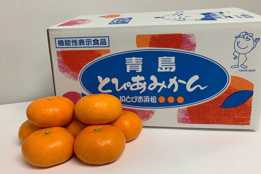 静岡生まれ！青島みかん 約9kg（順次発送予定）: 笑顔「おいしい」の