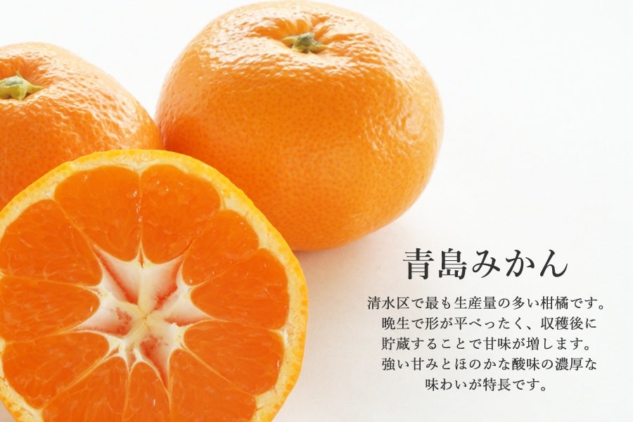 ご予約商品・2026年1月中旬よりご発送】青島みかんKing(キング)4.5㎏箱