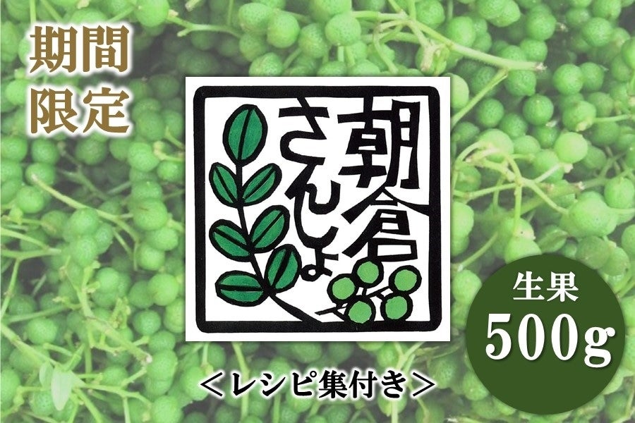 予約】期間限定・朝倉さんしょ（実山椒）500g 【5月下旬発送開始