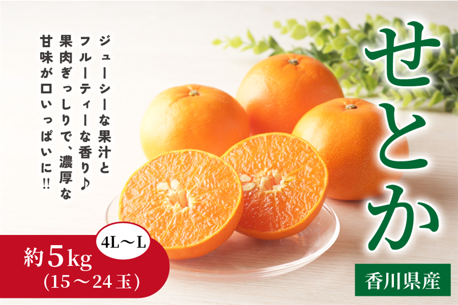 香川県産柑橘「せとか」 約5㎏（約15～24玉）: JAギフトセンターかが