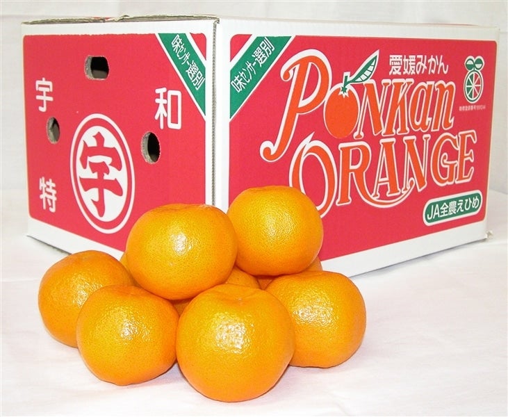 2L＞ 「ポンカン」約9kg（秀2L）JAえひめ南 ＊随時発送中