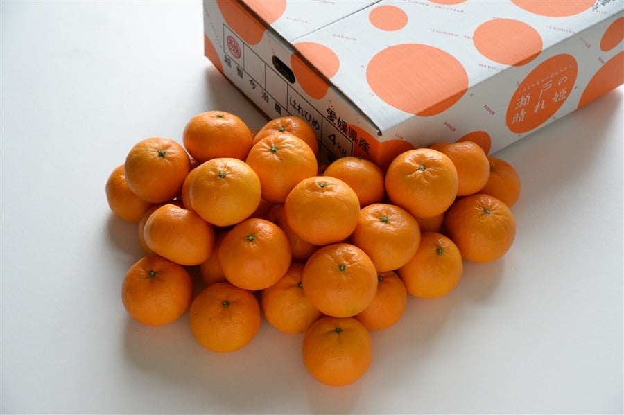 瀬戸の晴れ姫ジュース （720ml×6本） JAおちいまばり ＊随時発送