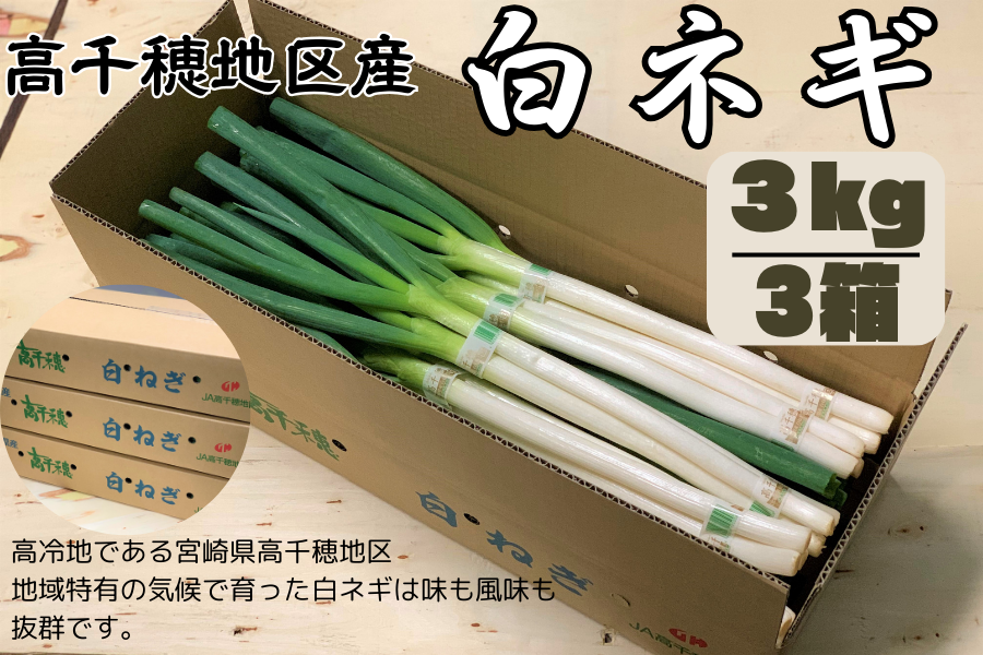 高千穂地区産 白ネギ 超得3箱: JAみやざき高千穂直販|【JAタウン