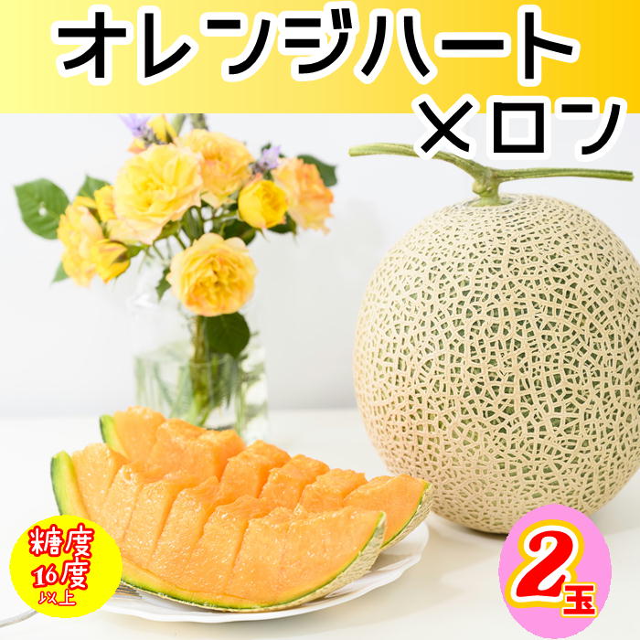 熊本宇城産】 オレンジハートメロン 2玉: JA熊本うきっ子ショップ