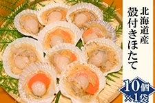 殻付きほたて10個｜北海道産 片貝 加熱用 冷凍ホタテ バーベキュー