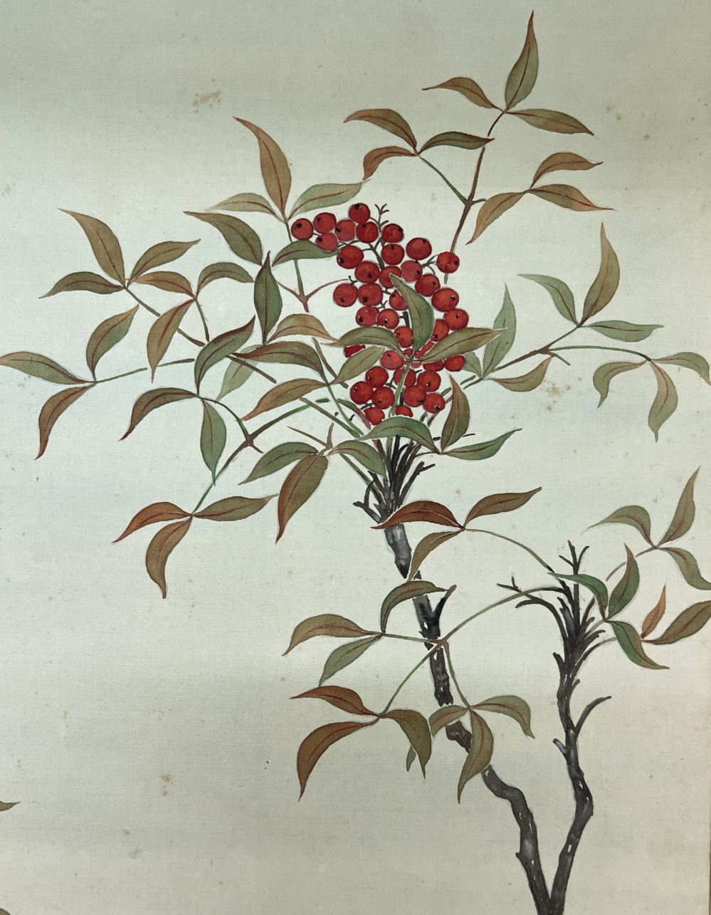 京都の掛け軸専門店 古美術神宮堂 kc12