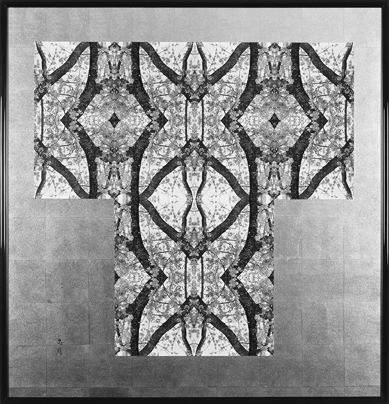 表現者たち」 vol.13 内藤 忠行 | 公益社団法人 日本写真家協会