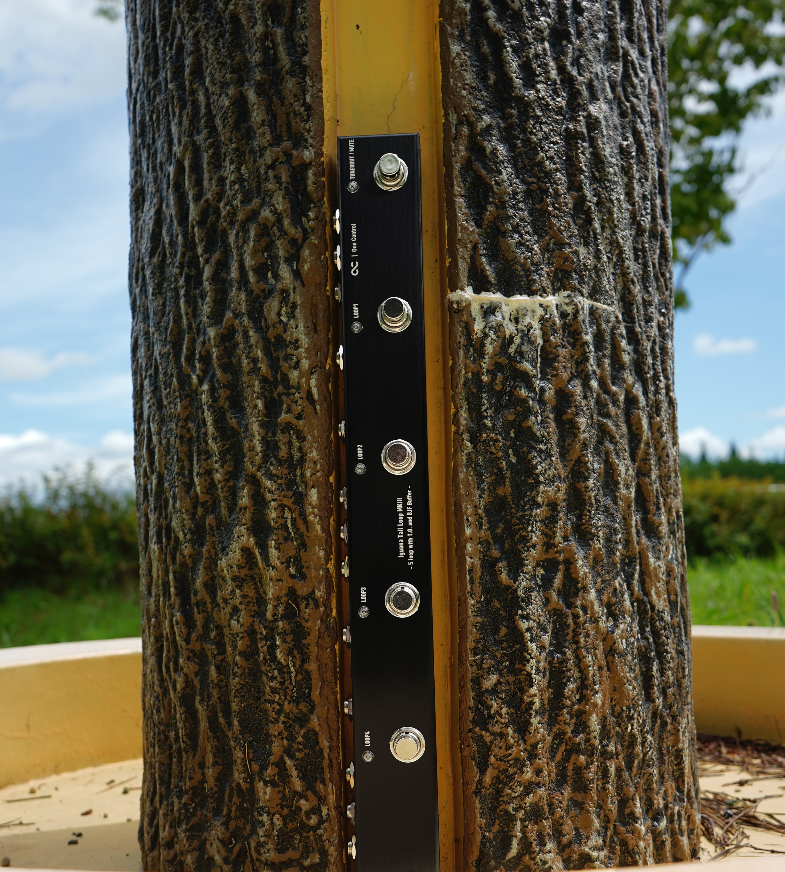 One Control Iguana Tail Loop MKIII - 5 loop with T.O. and BJF