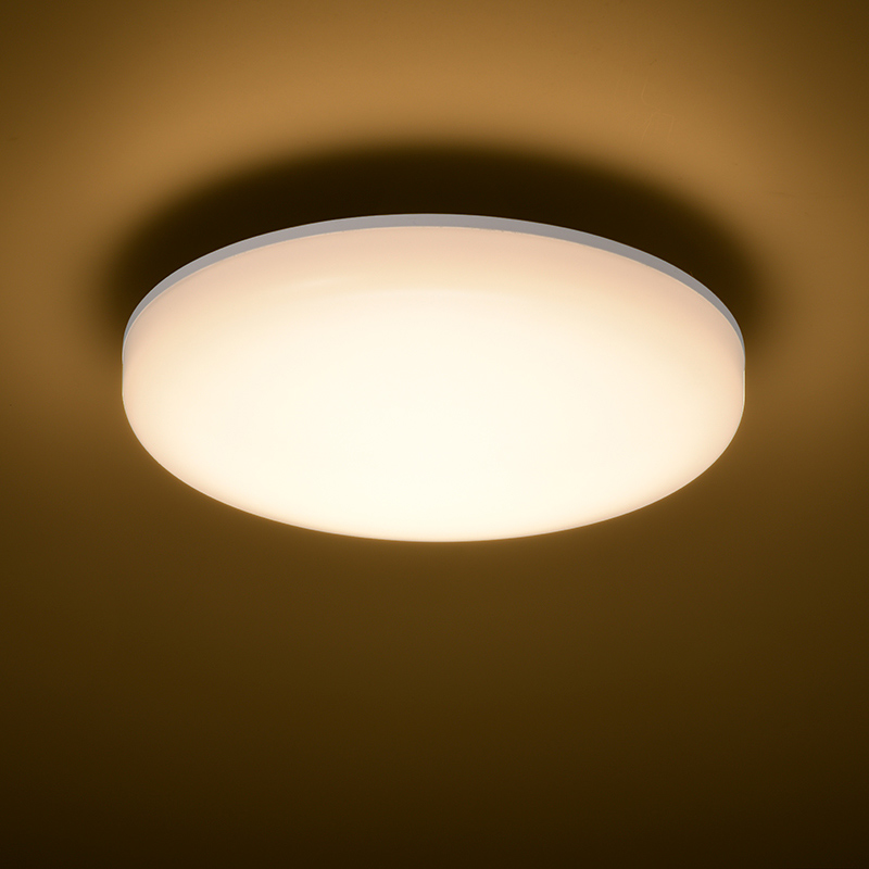 防雨防湿型LEDシーリングライト アーチ型 700lm 電球色 [品番]06-4087