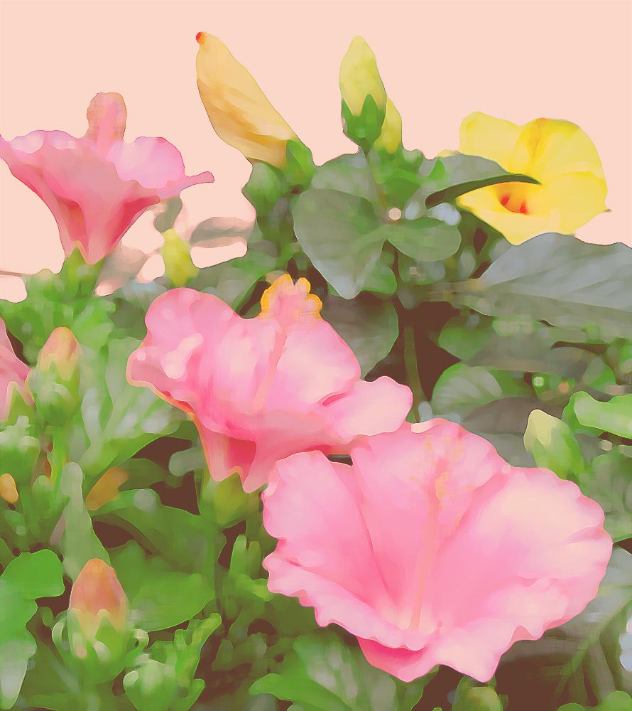 村上隆 ザオウ―キーのお花の絵へのあこがれ | 絵画など美術品の販売と