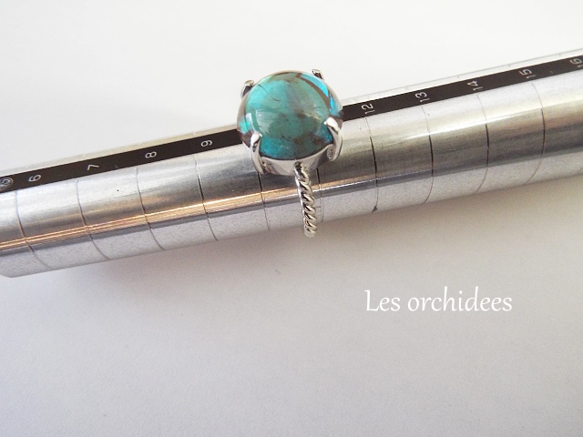 サフィレット シルバーリング オルキデ 恵比寿