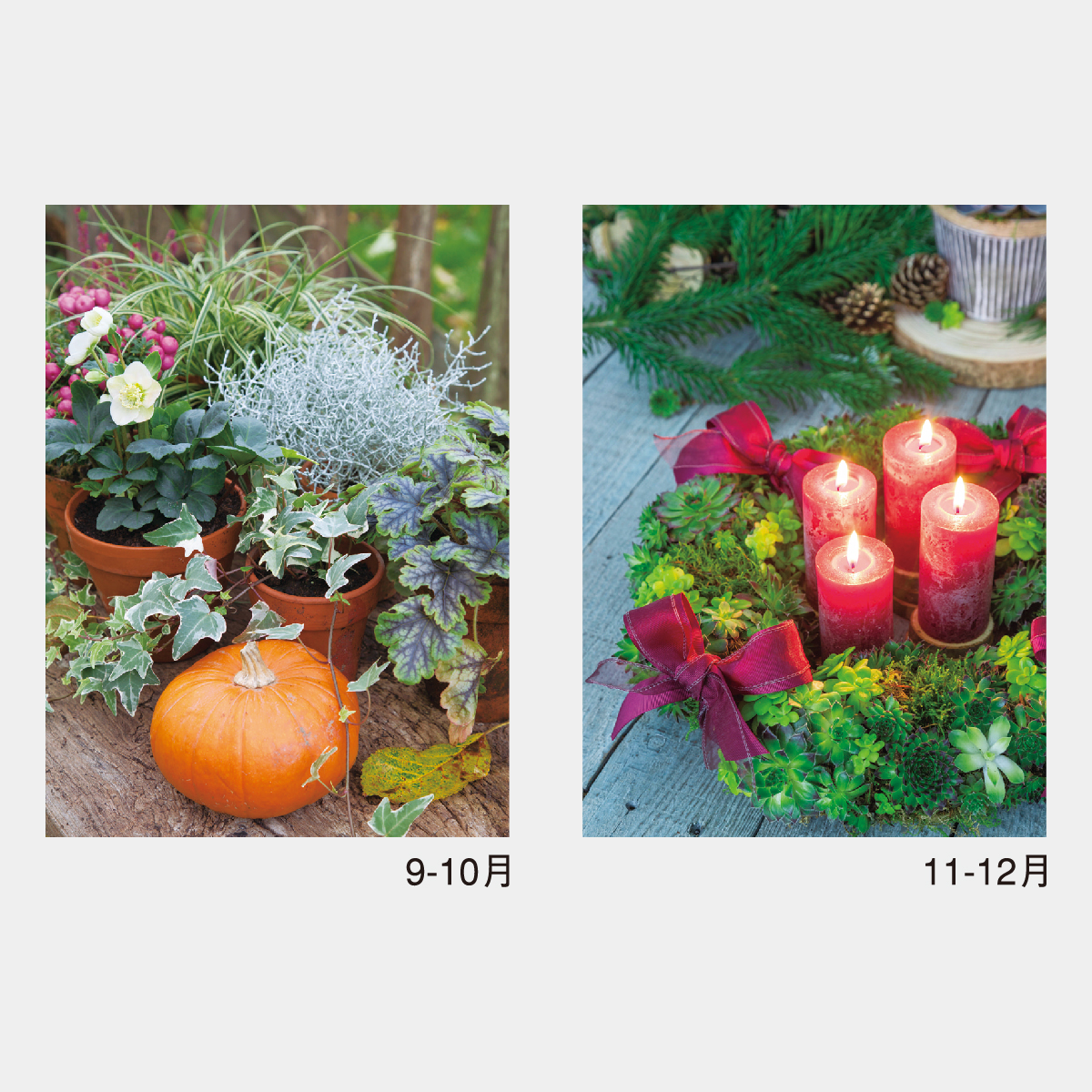 NK-428 スモールグリーン2026年版の名入れカレンダーを格安で販売 - 名