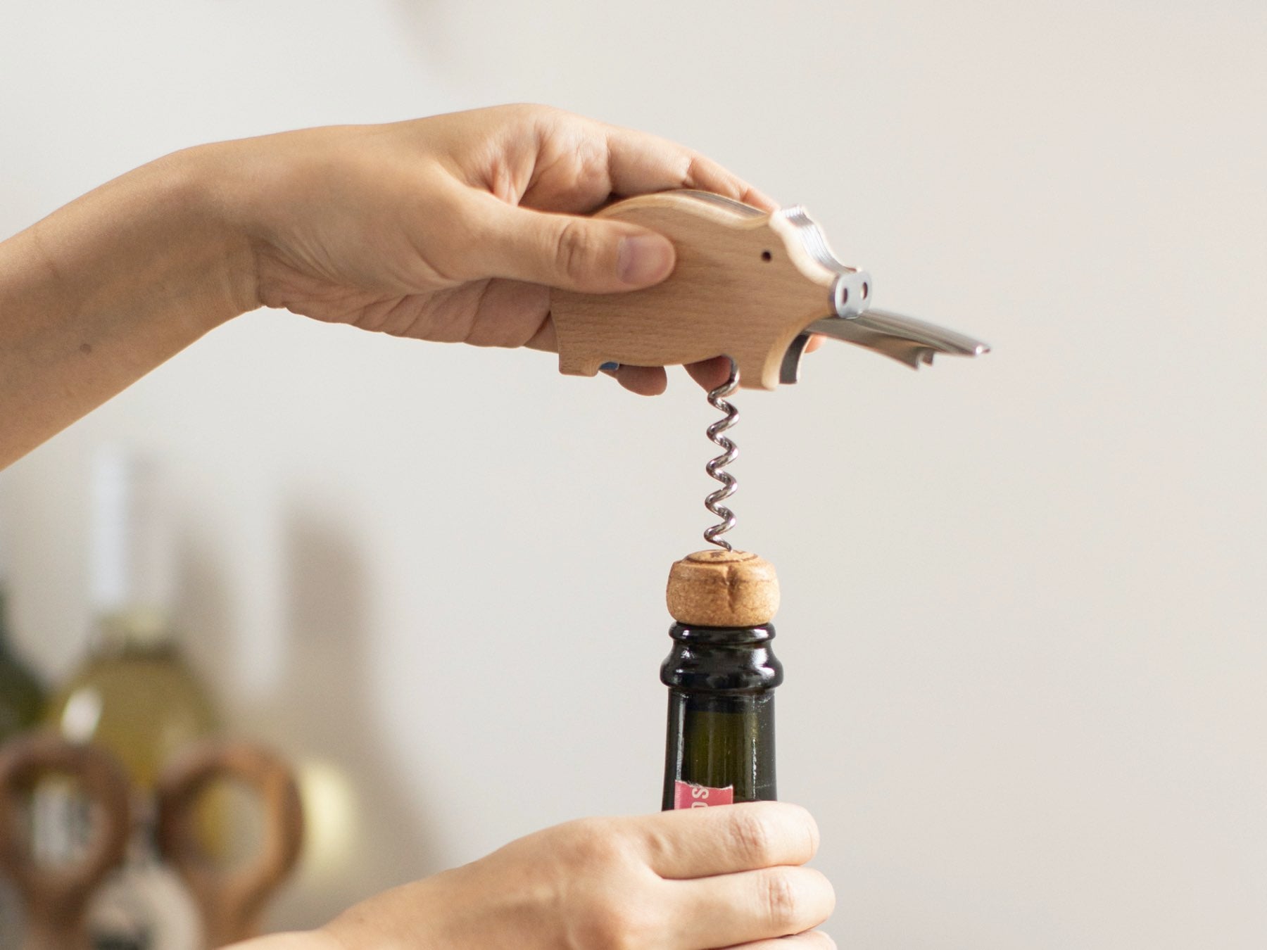 dt0149-img1.jpg?v=1668474747&