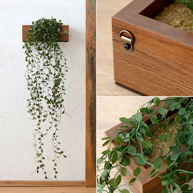 デオドラント ワイヤープランツ | ゼネラルストア オルネ