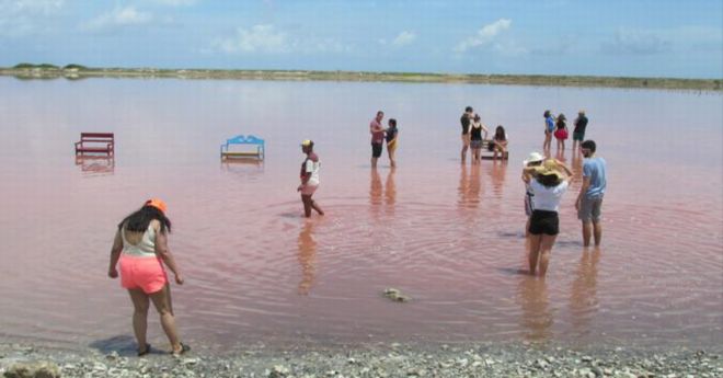 Kaya ♦︎14kgfピーチピンクドラゴンスケールカービングPT ドラゴン