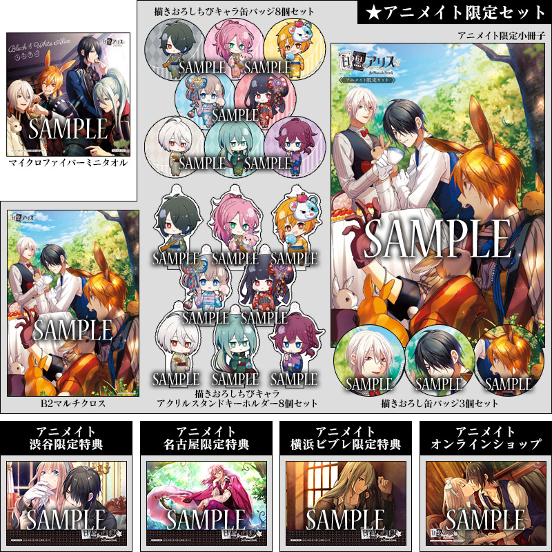 白と黒のアリス for Nintendo Switch