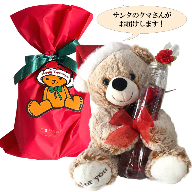 テディベアのマックスとハーバリウムのクリスマスセット