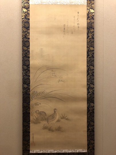 土佐光起 鶉図｜古美術・掛け軸の販売・買取・鑑定-松本松栄堂