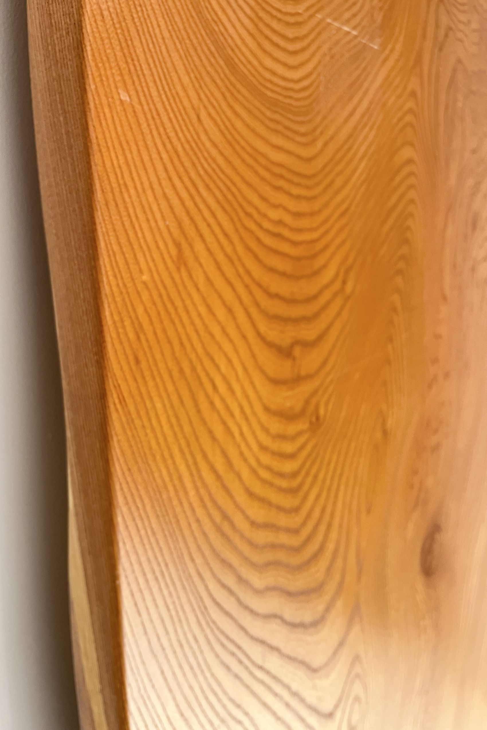 天然木 東京 新宿 東五軒町店展示 欅（けやき・ケヤキ）材 一枚板