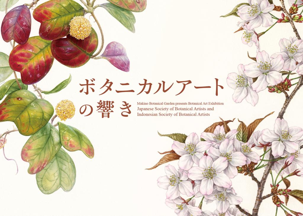 ボタニカルアートの響き−日本とインドネシアの植物画家たち｜ 高知