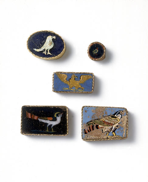 鳥、ワシ、セキレイ、ハヤブサ - MIHO MUSEUM