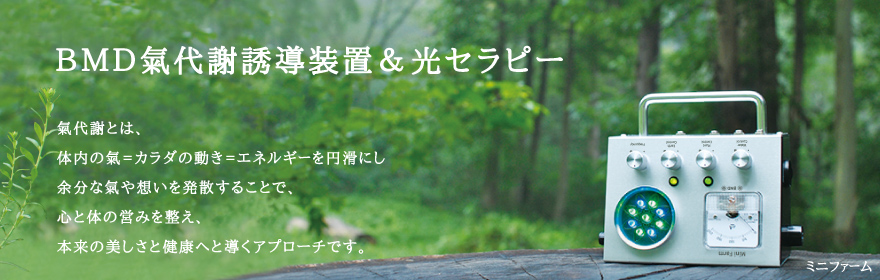 氣代謝・光セラピー,氣代謝装置 | ひのきの森byBMD オンラインショップ