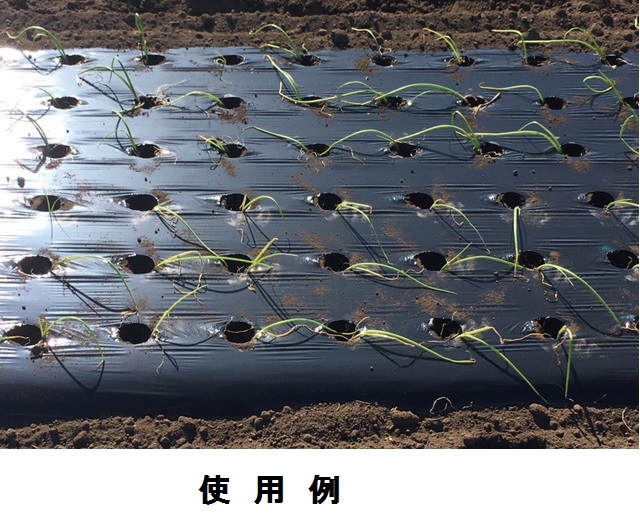 オリジナル国産黒ホールマルチ 厚さ0.02mmX幅120cmX長さ200m(黒色